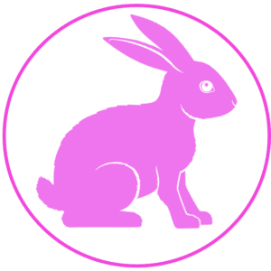 A pink rabbit sitting in front of a white background.
