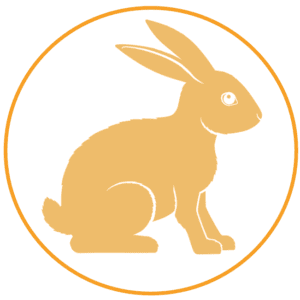 A rabbit sitting in the middle of an orange circle.