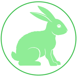 A green rabbit sitting in front of a circle.