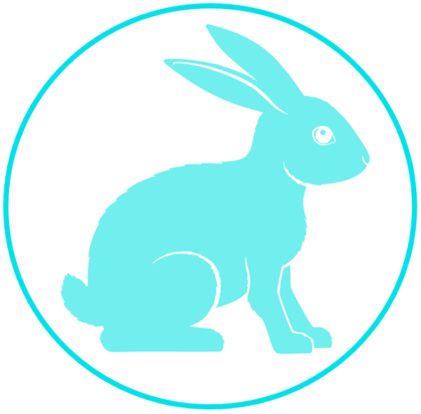 A blue rabbit sitting in front of a circle.